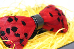 Red Feather Bow Tie - Bowties - 2