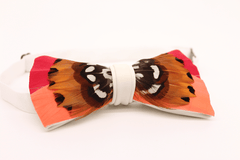 Sunset Feather Bow Tie