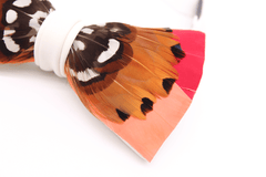 Sunset Feather Bow Tie