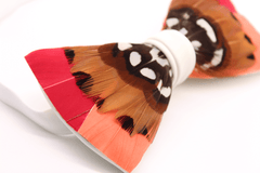 Sunset Feather Bow Tie
