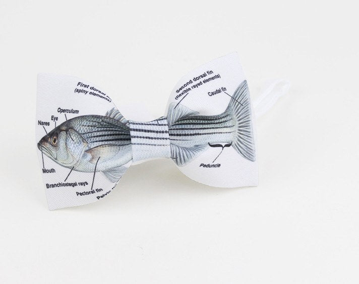 The Fish Bow Tie Bow Ties for Men Bow SelecTie