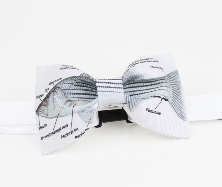 The Fish Bow Tie Bow Ties for Men Bow SelecTie