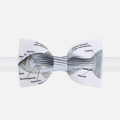 The Fish Bow Tie - Bowties - 1