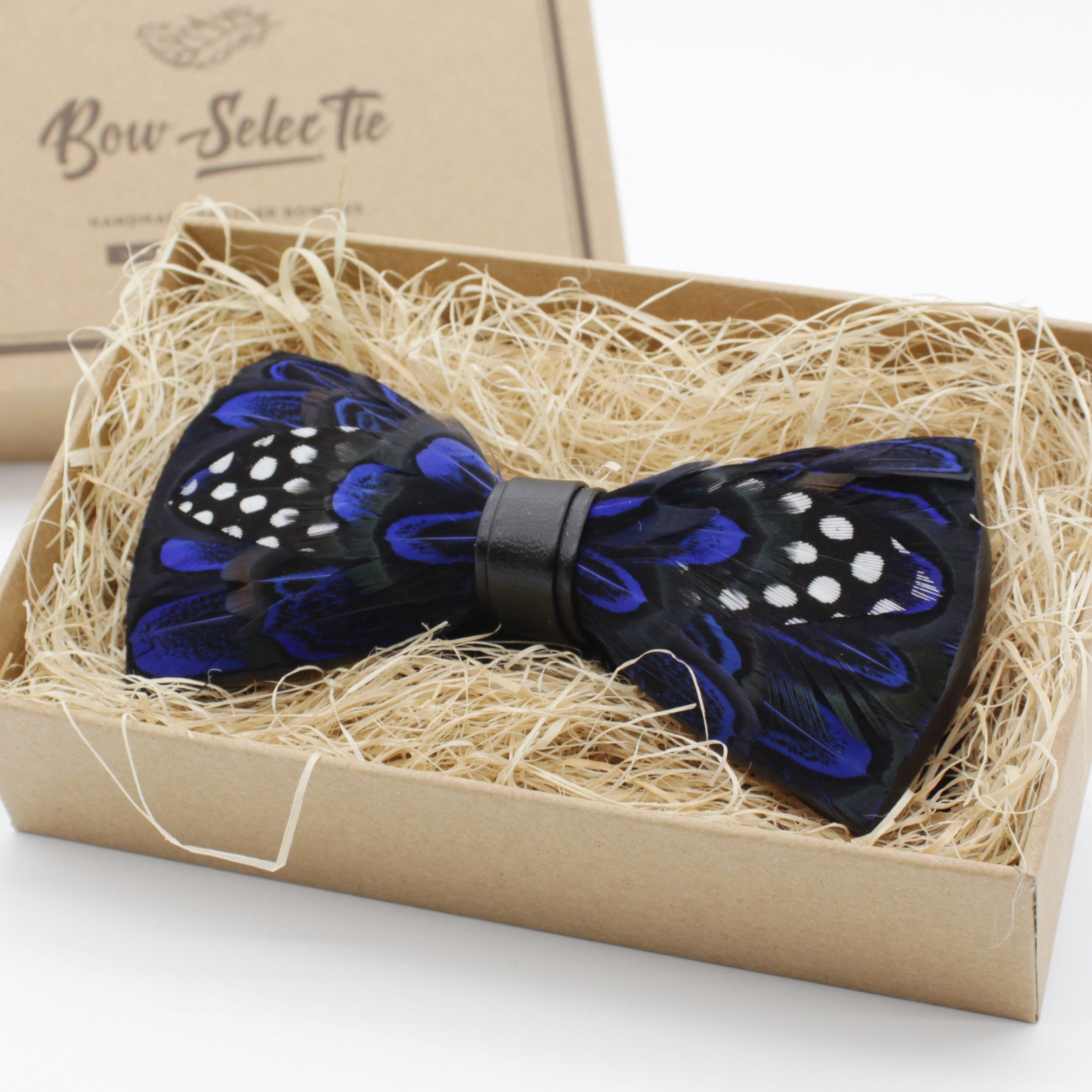 Blue Polka Dot Feather Bow Tie