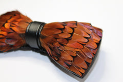Brown Pheasant Feather Bow Tie - Bowties - 3