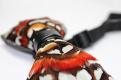 Butterfly Like Feather Bow Tie - Bowties - 3