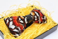 Butterfly Like Feather Bow Tie - Bowties - 2