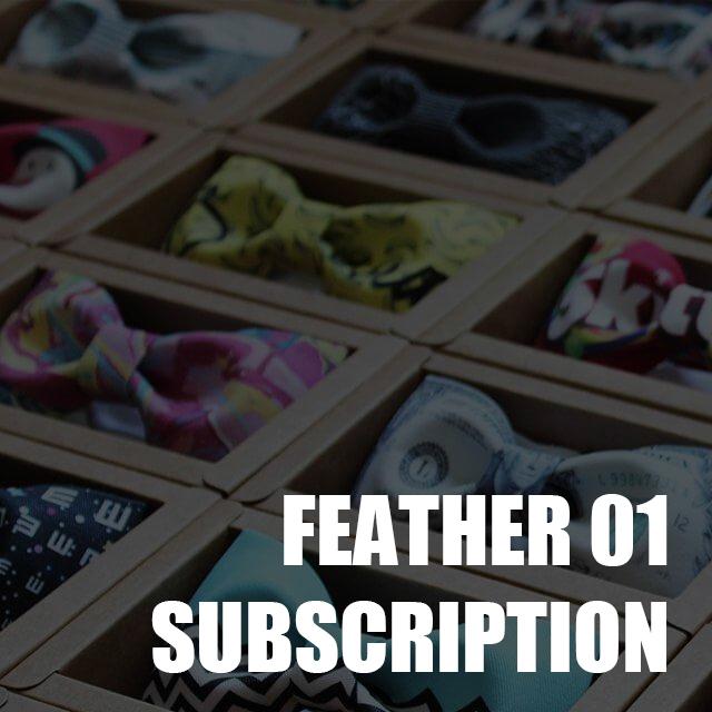 Feather Plan One Subscription