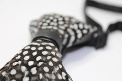 Polka Dotted Guinea Fowl Feather Bow Tie - Bowties - 3